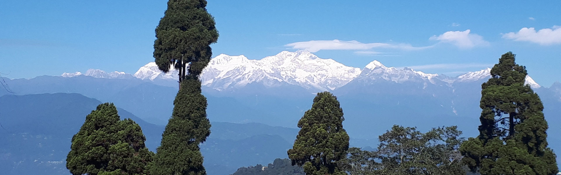 Darjeeling Delight Tour